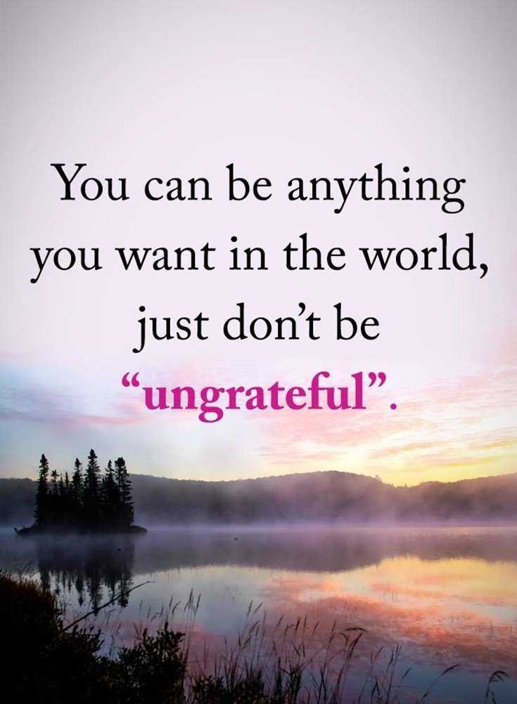 342 Motivational Inspirational Quotes About Life 16