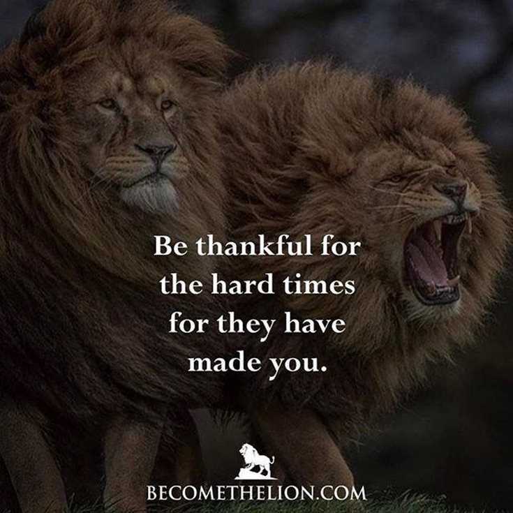 342 Motivational Inspirational Quotes About Success 117 342 Motivational Inspirational Quotes About Success 117