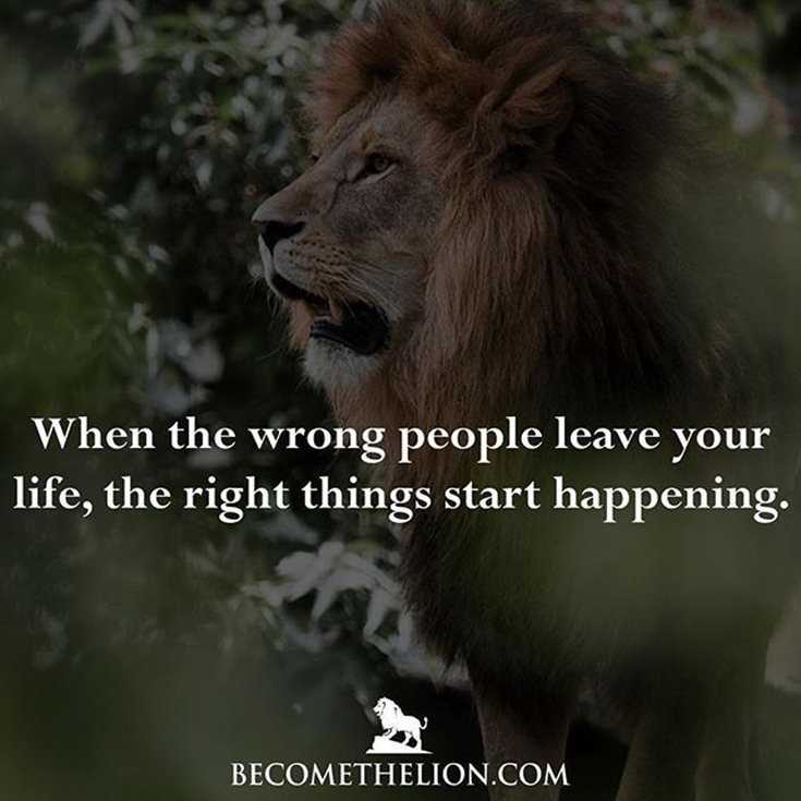 342 Motivational Inspirational Quotes About Success 125 342 Motivational Inspirational Quotes About Success 125