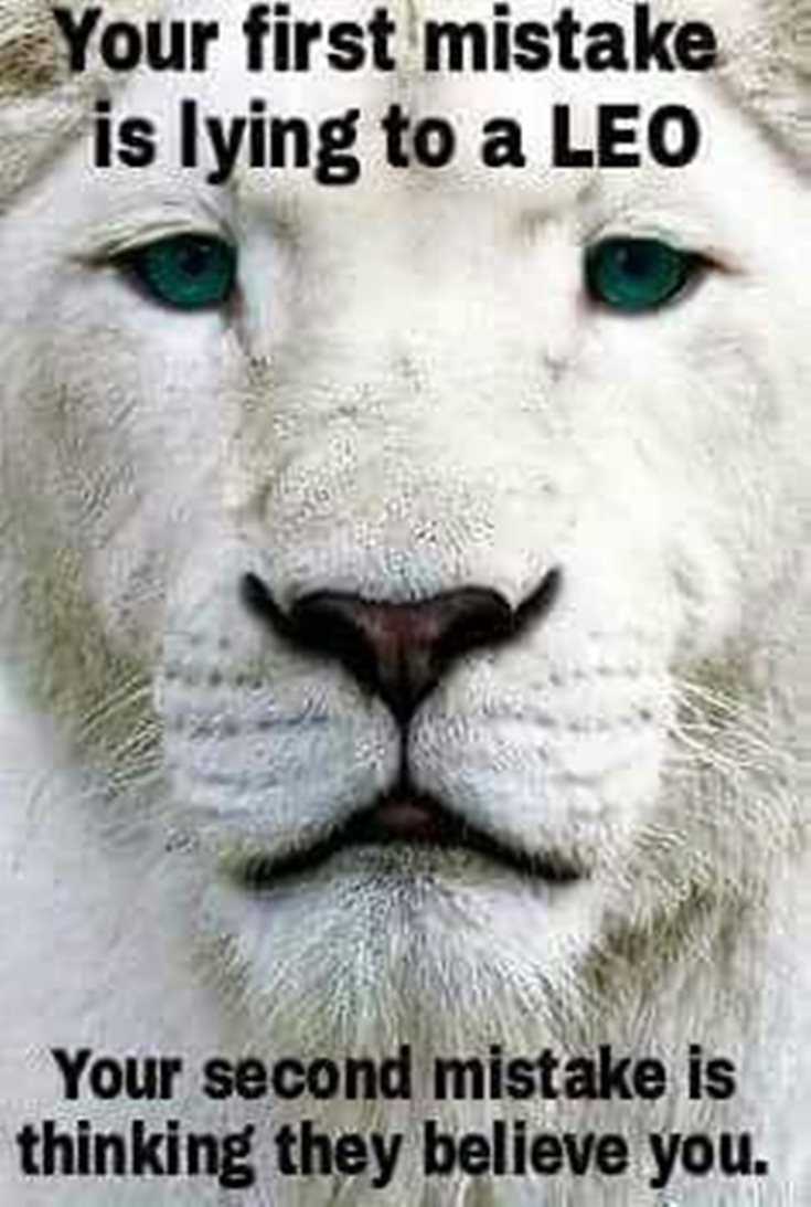 342 Motivational Inspirational Quotes About Success 142 342 Motivational Inspirational Quotes About Success 142