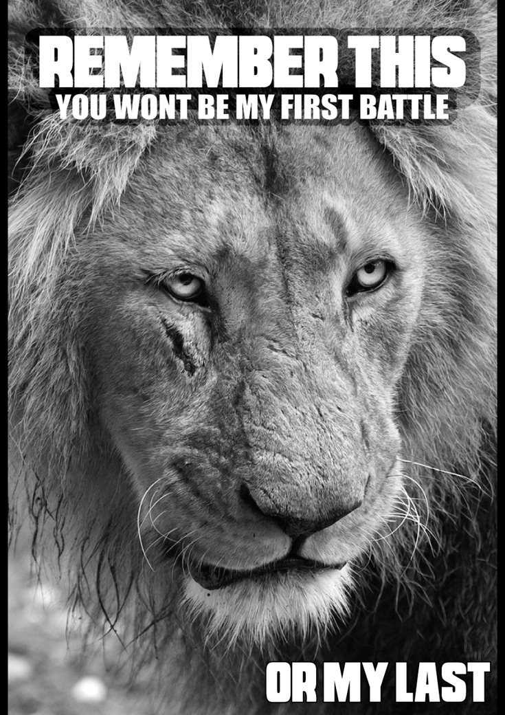 342 Motivational Inspirational Quotes About Success 149 342 Motivational Inspirational Quotes About Success 149