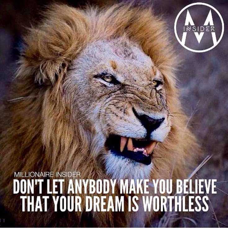 342 Motivational Inspirational Quotes About Success 158 342 Motivational Inspirational Quotes About Success 158