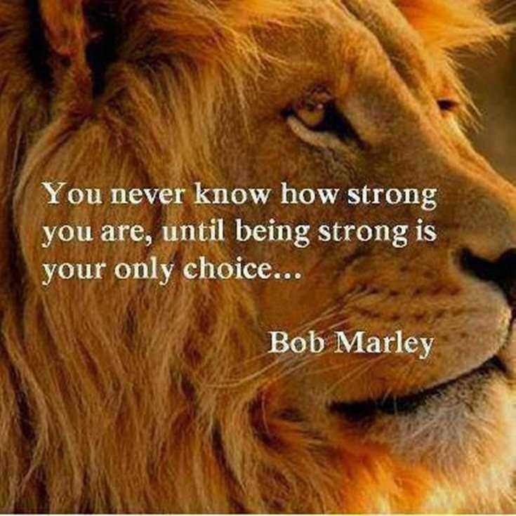 342 Motivational Inspirational Quotes About Success 159 342 Motivational Inspirational Quotes About Success 159