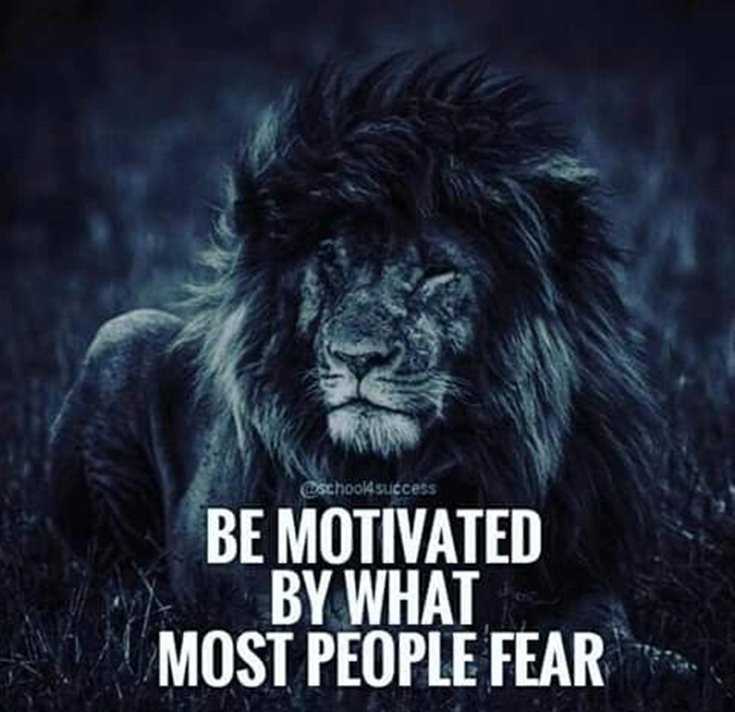 342 Motivational Inspirational Quotes About Success 162 342 Motivational Inspirational Quotes About Success 162