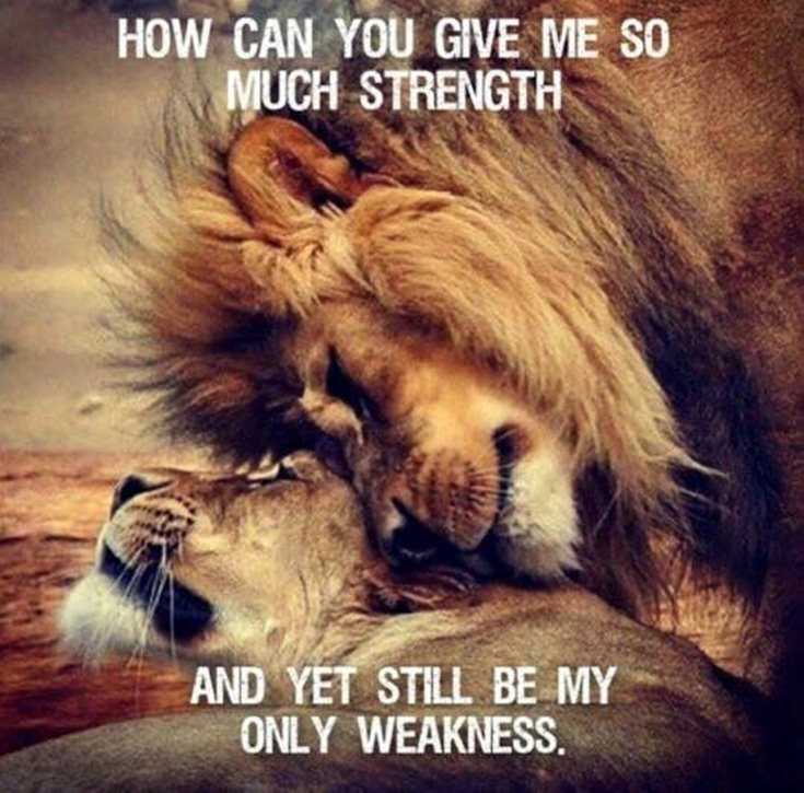 342 Motivational Inspirational Quotes About Success 167 342 Motivational Inspirational Quotes About Success 167