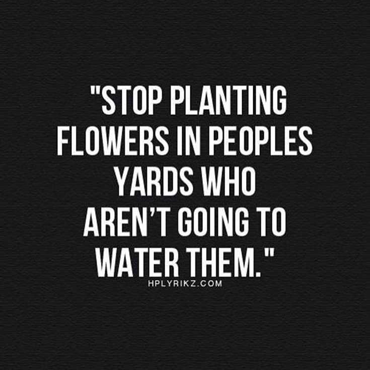 342 Motivational Inspirational Quotes About Success 171 342 Motivational Inspirational Quotes About Success 171