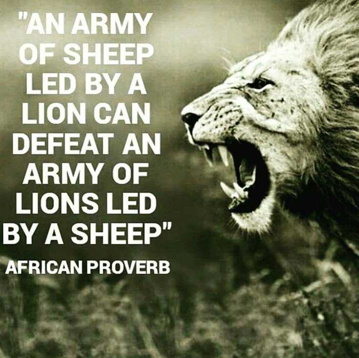 342 Motivational Inspirational Quotes About Success 173 342 Motivational Inspirational Quotes About Success 173