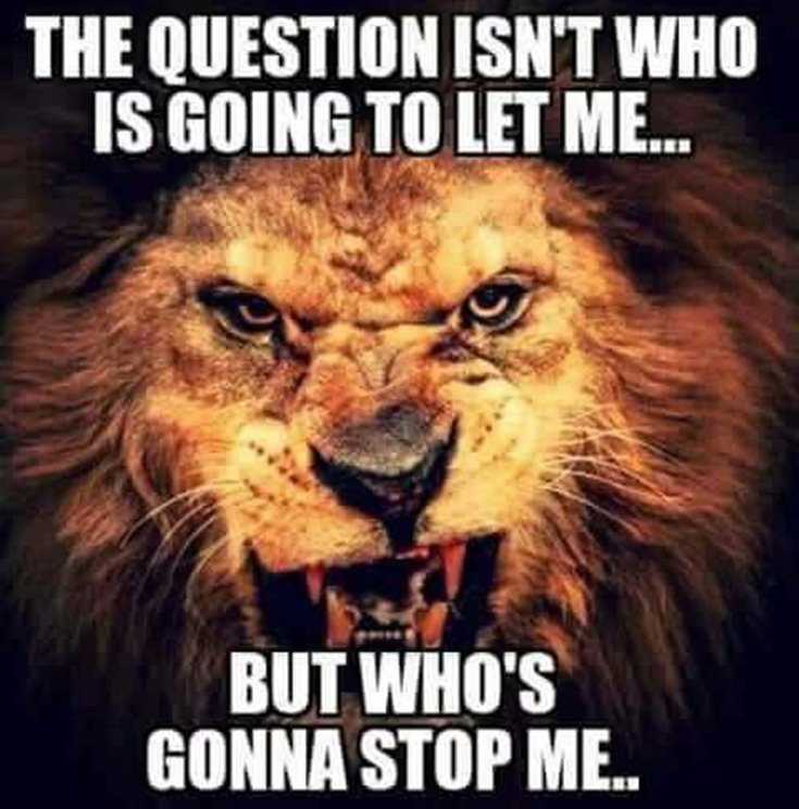 342 Motivational Inspirational Quotes About Success 184 342 Motivational Inspirational Quotes About Success 184