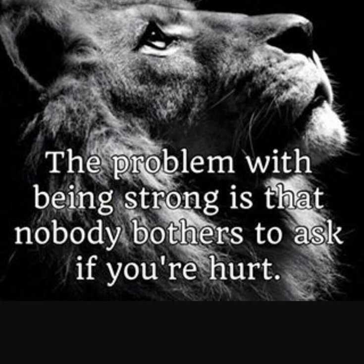 342 Motivational Inspirational Quotes About Success 186 342 Motivational Inspirational Quotes About Success 186