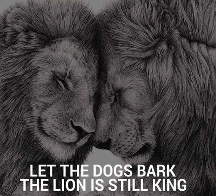 342 Motivational Inspirational Quotes About Success 187 342 Motivational Inspirational Quotes About Success 187