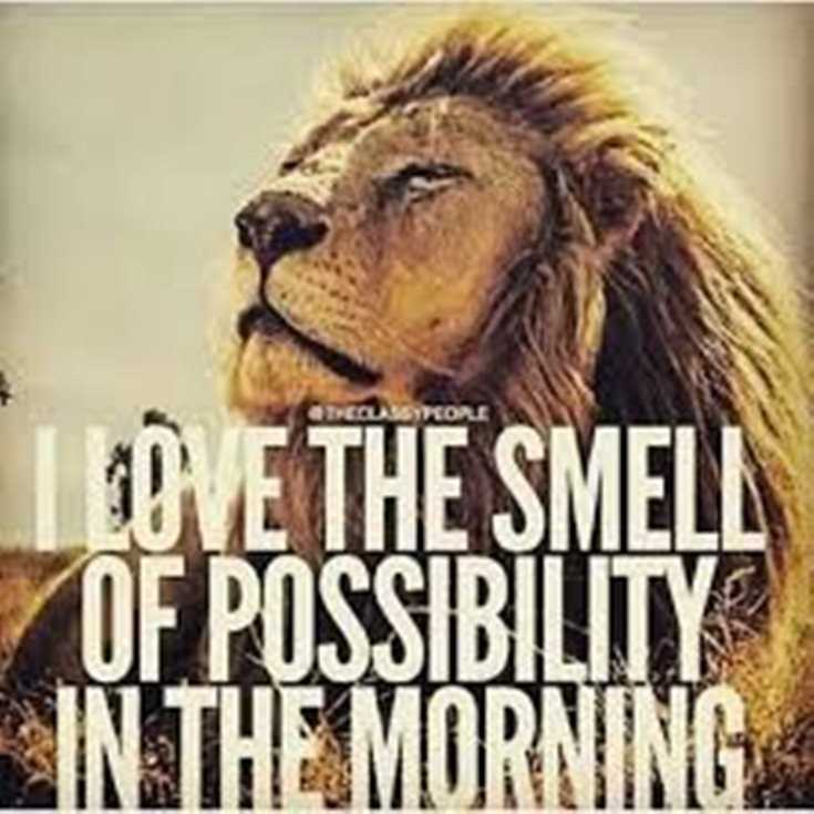 342 Motivational Inspirational Quotes About Success 35 342 Motivational Inspirational Quotes About Success 35