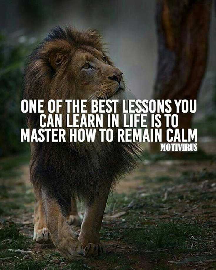 342 Motivational Inspirational Quotes About Success 39 342 Motivational Inspirational Quotes About Success 39