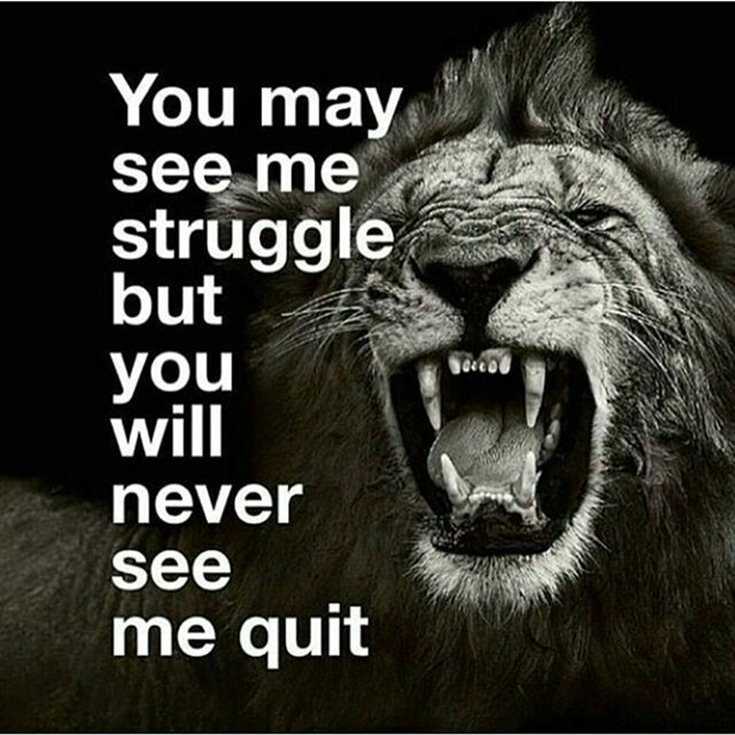 342 Motivational Inspirational Quotes About Success 41 342 Motivational Inspirational Quotes About Success 41