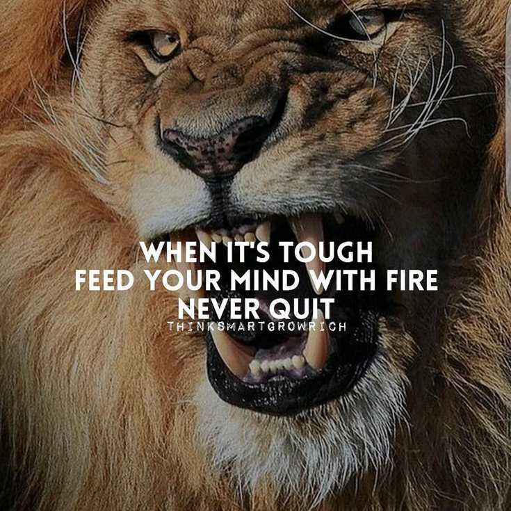 342 Motivational Inspirational Quotes About Success 53 342 Motivational Inspirational Quotes About Success 53