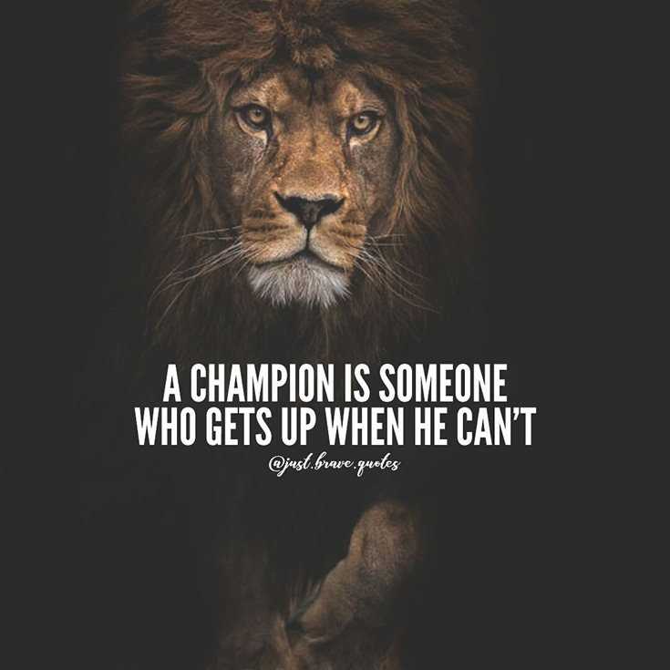 342 Motivational Inspirational Quotes About Success 56 342 Motivational Inspirational Quotes About Success 56