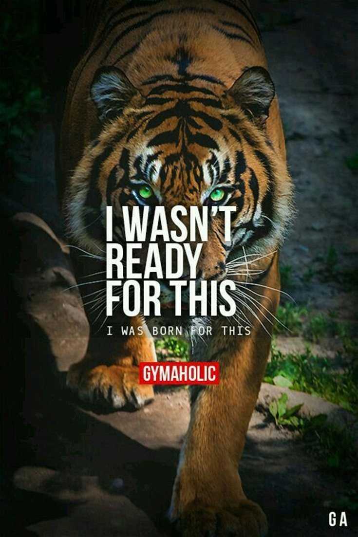 342 Motivational Inspirational Quotes About Success 59 342 Motivational Inspirational Quotes About Success 59