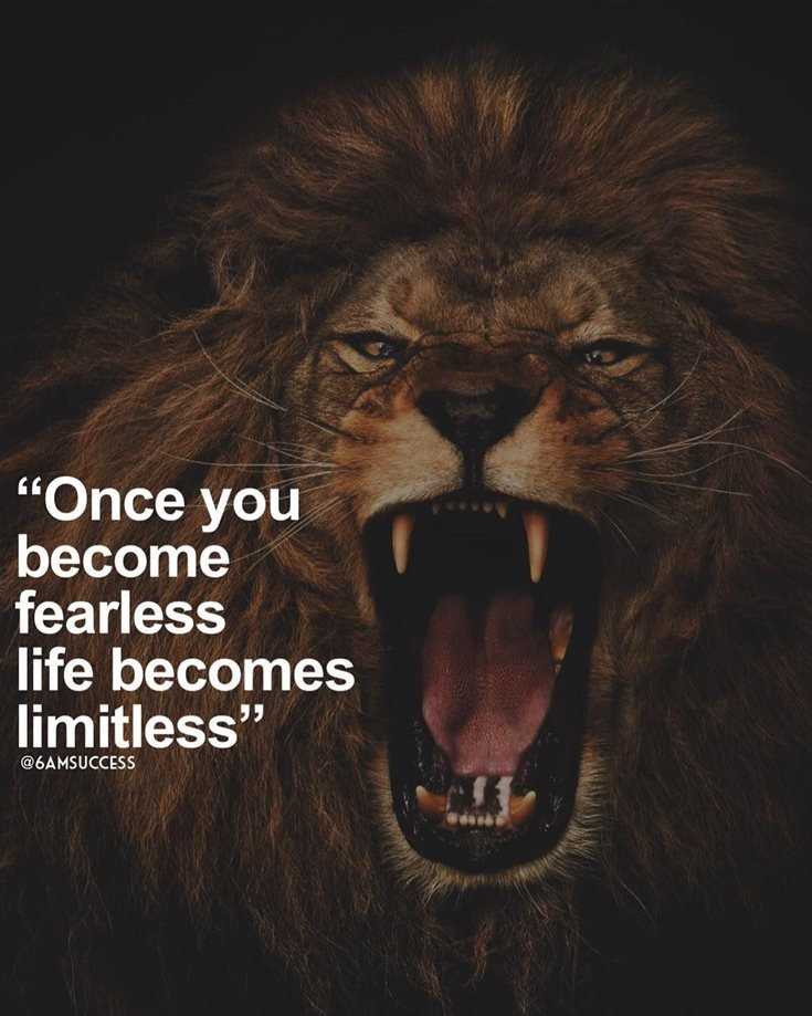 342 Motivational Inspirational Quotes About Success 76 342 Motivational Inspirational Quotes About Success 76