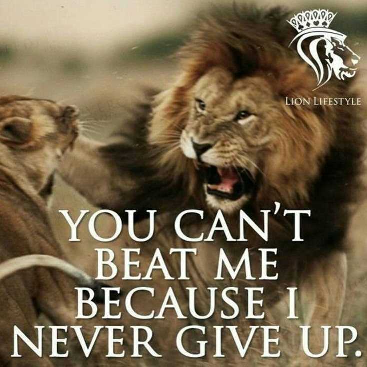 342 Motivational Inspirational Quotes About Success 83 342 Motivational Inspirational Quotes About Success 83