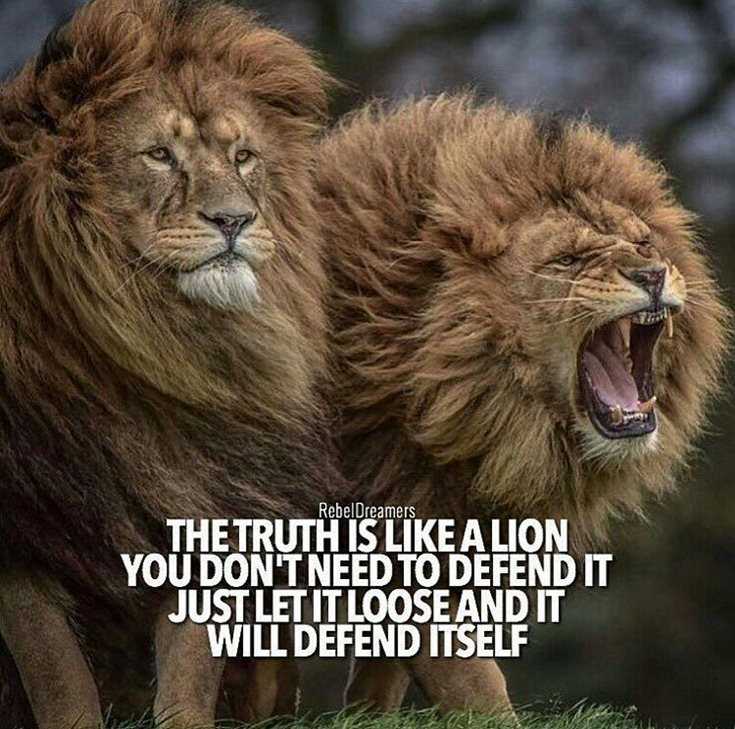 342 Motivational Inspirational Quotes About Success 88 342 Motivational Inspirational Quotes About Success 88