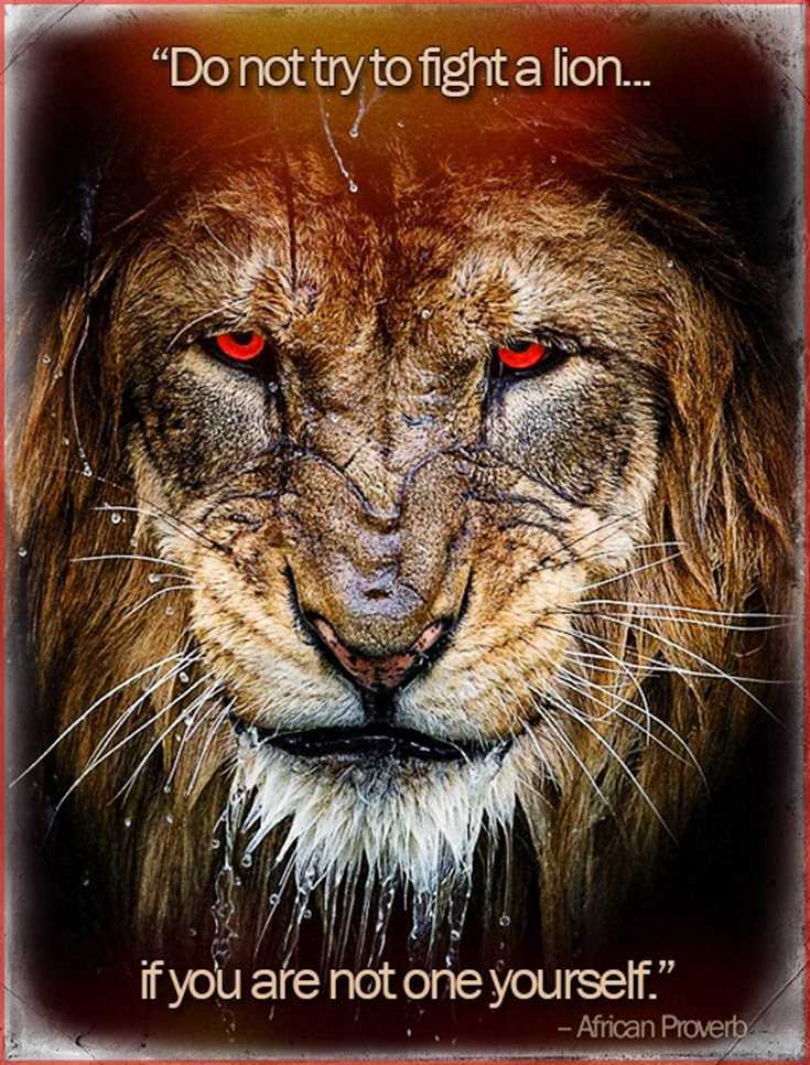 342 Motivational Inspirational Quotes About Success 9 342 Motivational Inspirational Quotes About Success 9