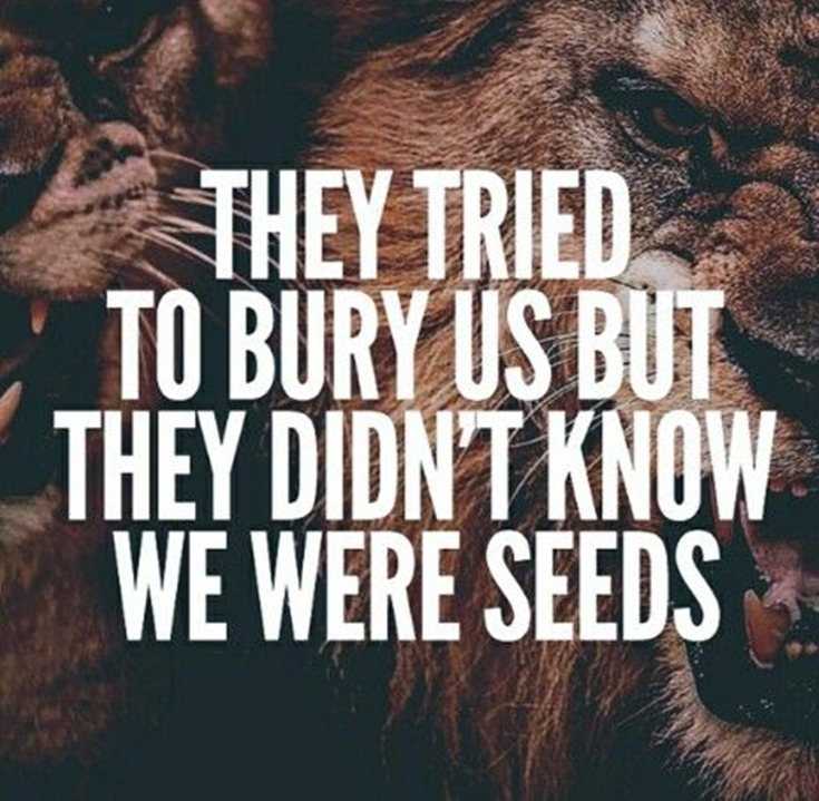 342 Motivational Inspirational Quotes About Success 96 342 Motivational Inspirational Quotes About Success 96