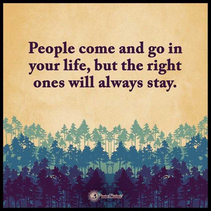 600 Inspirational Motivational Quotes About Life to Succeed 259 600 Inspirational Motivational Quotes About Life to Succeed 259