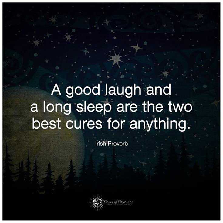 600 Inspirational Motivational Quotes About Life to Succeed 339 600 Inspirational Motivational Quotes About Life to Succeed 339