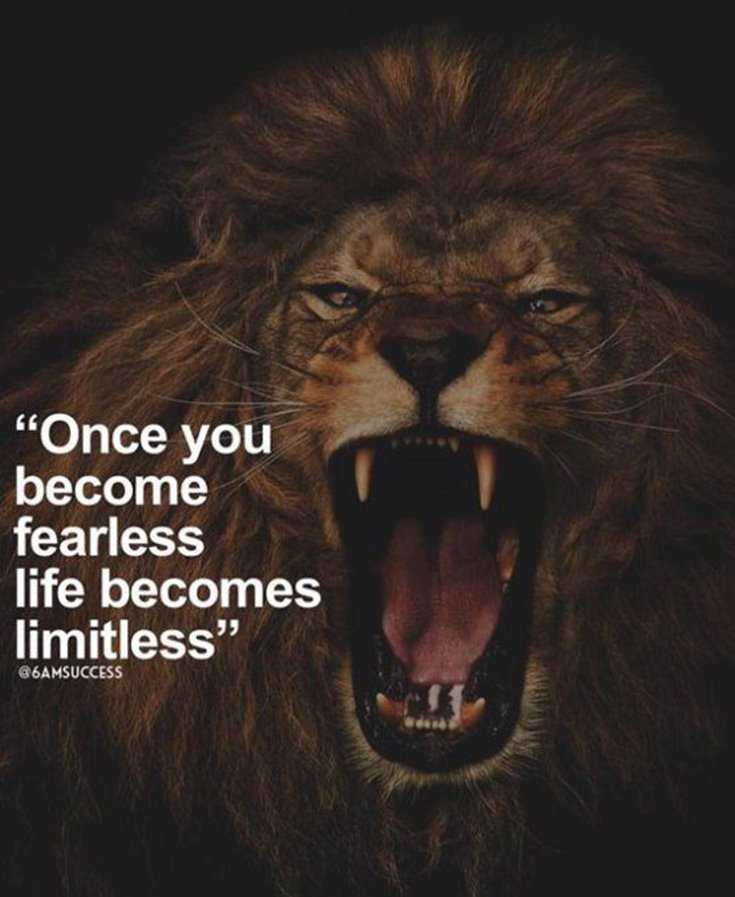 600 Inspirational Motivational Quotes About Life to Succeed 34 600 Inspirational Motivational Quotes About Life to Succeed 34