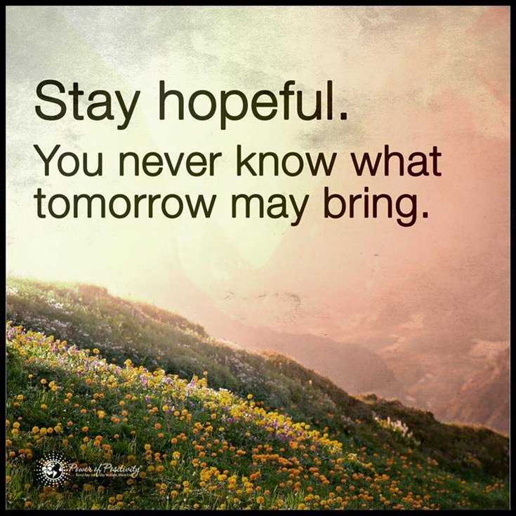 600 Inspirational Motivational Quotes About Life to Succeed 370 600 Inspirational Motivational Quotes About Life to Succeed 370