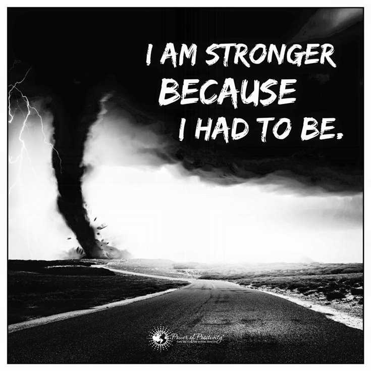 600 Inspirational Motivational Quotes About Life to Succeed 372 600 Inspirational Motivational Quotes About Life to Succeed 372