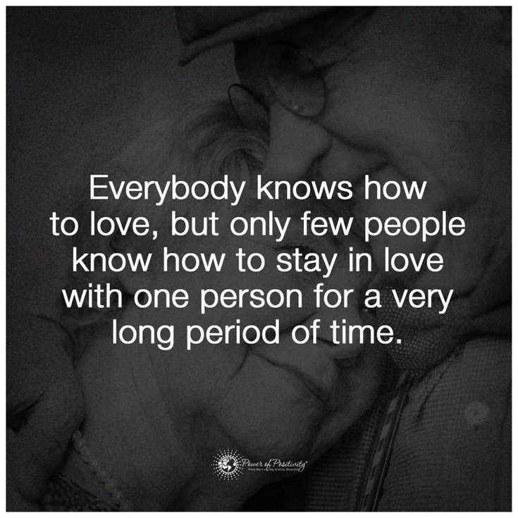 600 Inspirational Motivational Quotes About Life to Succeed 388 600 Inspirational Motivational Quotes About Life to Succeed 388