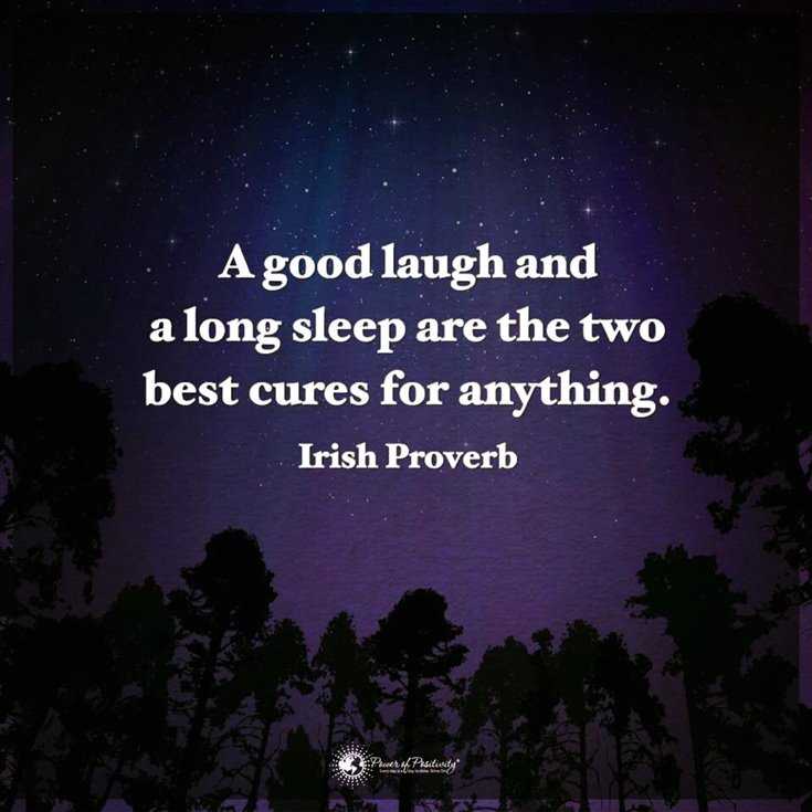 600 Inspirational Motivational Quotes About Life to Succeed 431 600 Inspirational Motivational Quotes About Life to Succeed 431