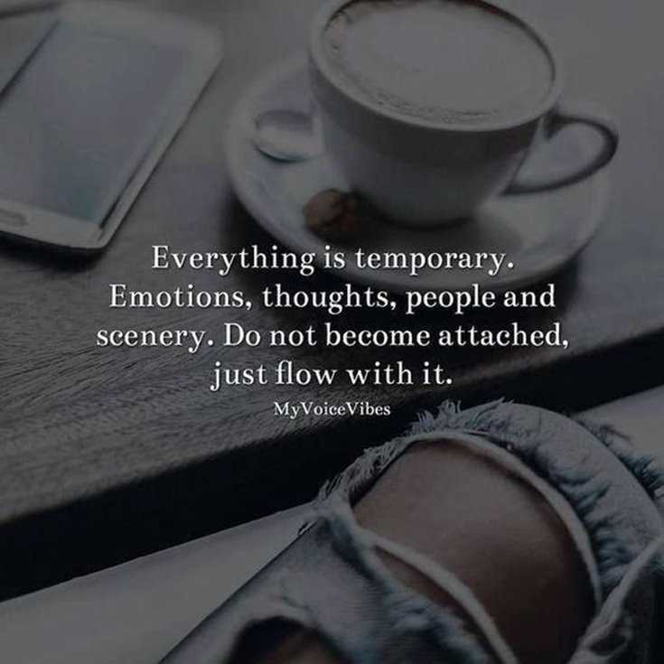 600 Inspirational Motivational Quotes About Life to Succeed 445 600 Inspirational Motivational Quotes About Life to Succeed 445