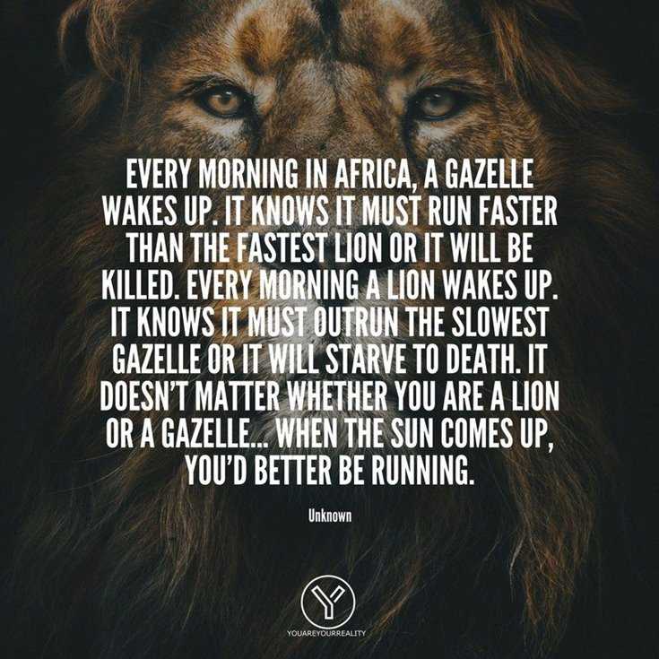 600 Inspirational Motivational Quotes About Life to Succeed 76 600 Inspirational Motivational Quotes About Life to Succeed 76
