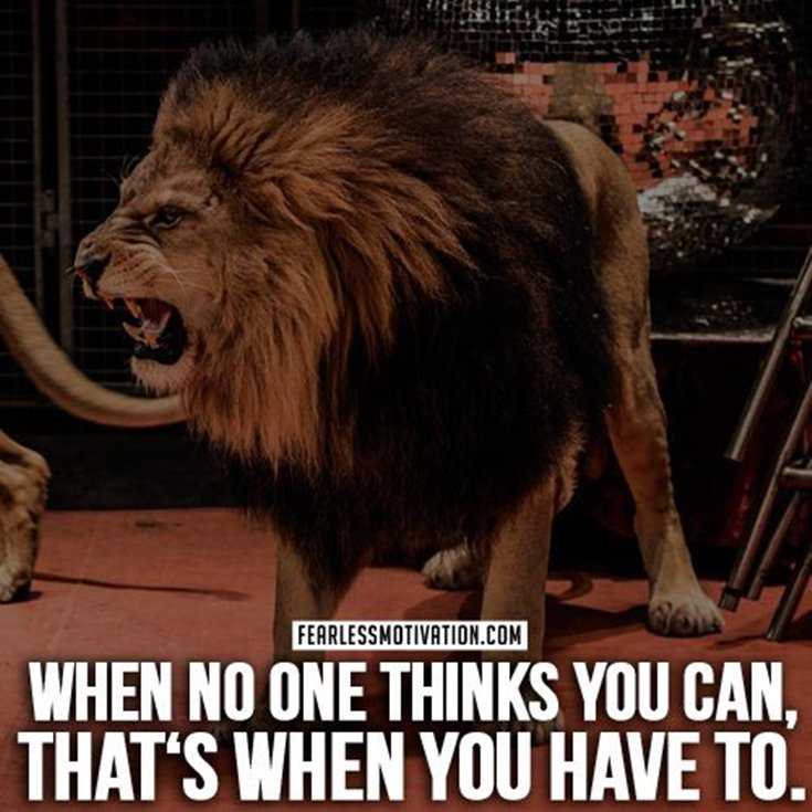 600 Inspirational Motivational Quotes About Life to Succeed 90 600 Inspirational Motivational Quotes About Life to Succeed 90