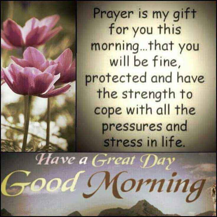 100 Beautiful Good Morning Quotes with Images That Will Enrich Your Day 27