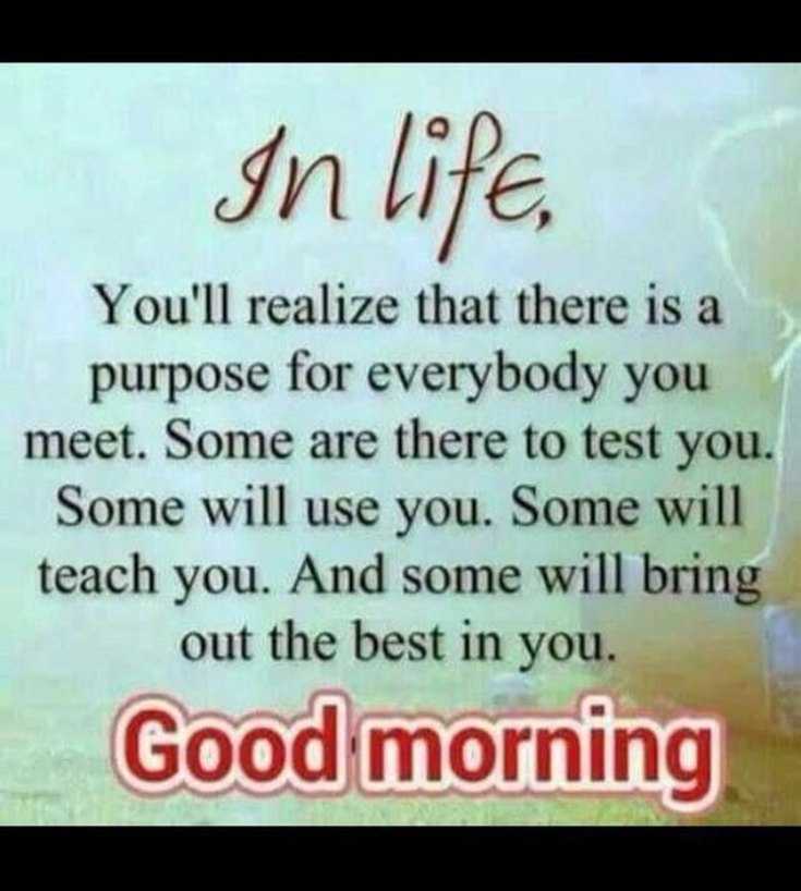 100 Beautiful Good Morning Quotes with Images That Will Enrich Your Day 29