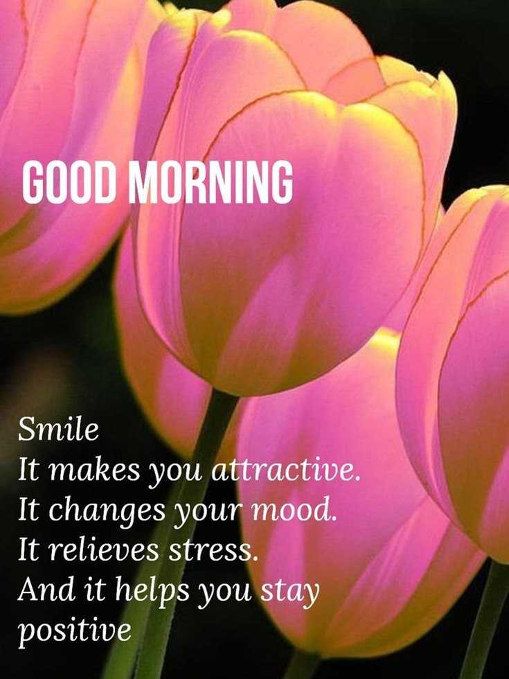 100 Beautiful Good Morning Quotes with Images That Will Enrich Your Day 30