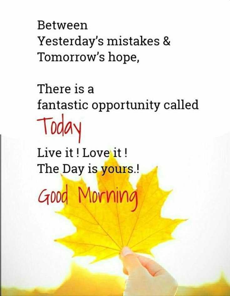 100 Beautiful Good Morning Quotes with Images That Will Enrich Your Day 35