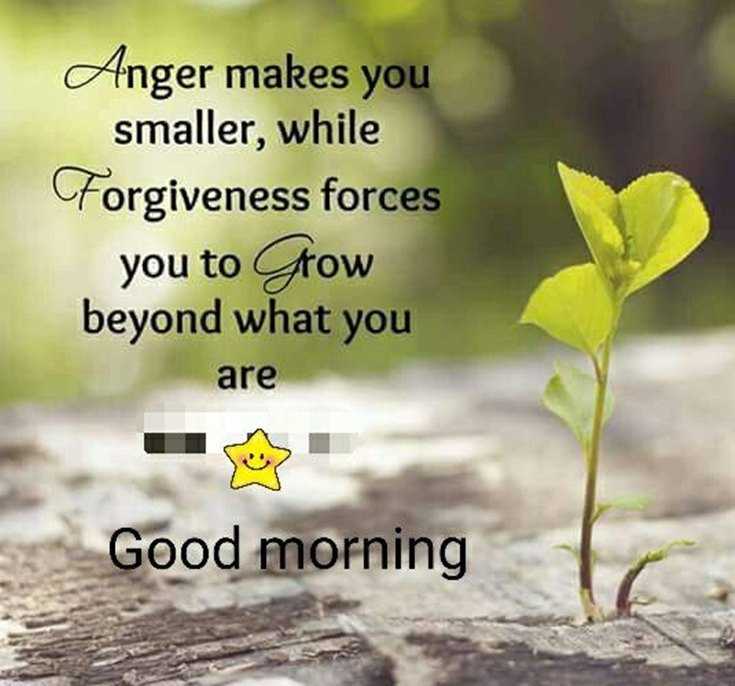 100 Beautiful Good Morning Quotes with Images That Will Enrich Your Day 42