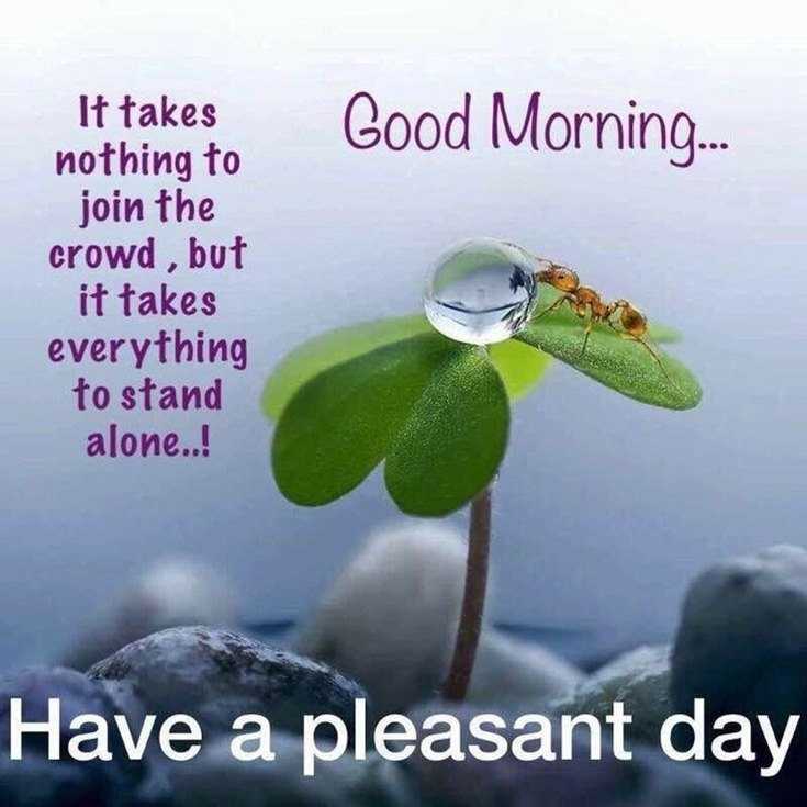 100 Beautiful Good Morning Quotes with Images That Will Enrich Your Day 56