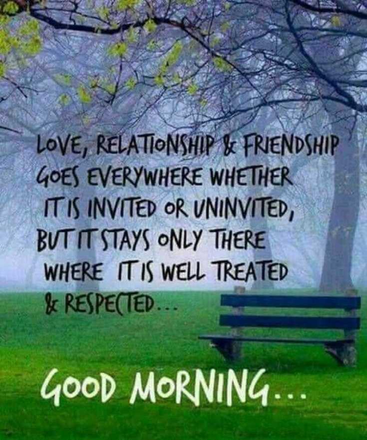 100 Beautiful Good Morning Quotes with Images That Will Enrich Your Day 59