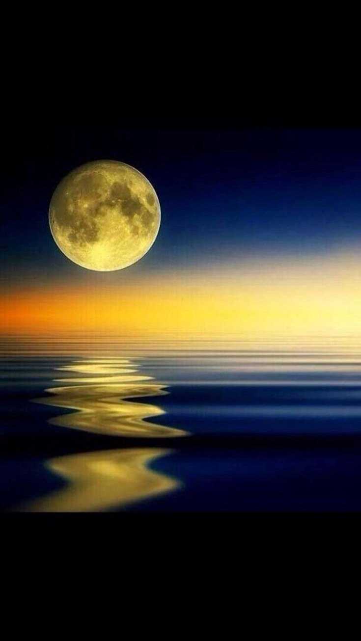 100 Beautiful Good Morning Quotes with Images That Will Enrich Your Day 60