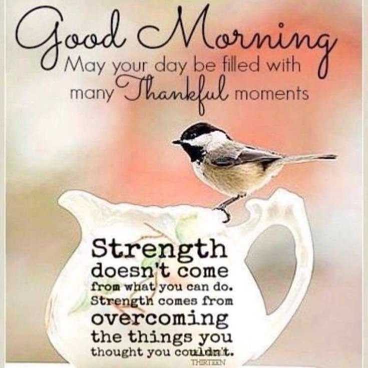 100 Beautiful Good Morning Quotes with Images That Will Enrich Your Day 87