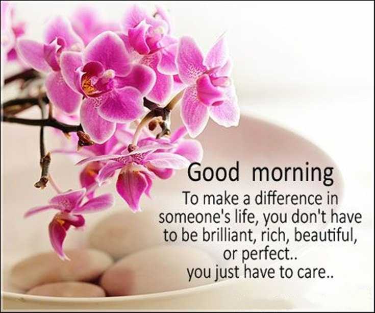 100 Beautiful Good Morning Quotes with Images That Will Enrich Your Day 88