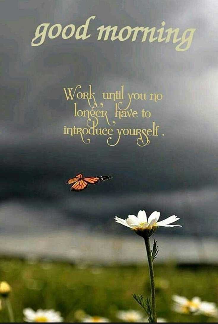 100 Beautiful Good Morning Quotes with Images That Will Enrich Your Day 89