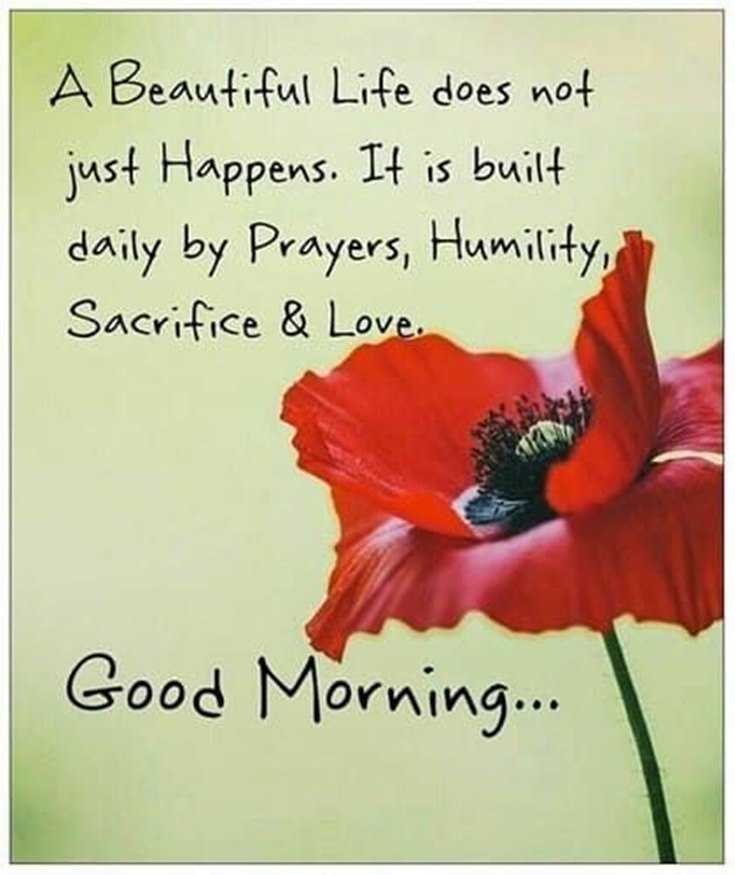 100 Beautiful Good Morning Quotes with Images That Will Enrich Your Day 90