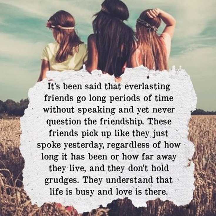 You Are A True Friend Quotes