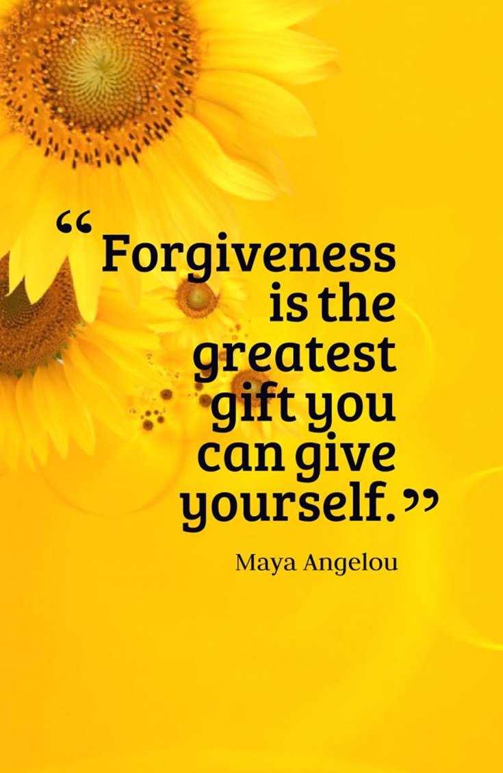 70 Forgiveness Quotes to Inspire Us to Let Go 9