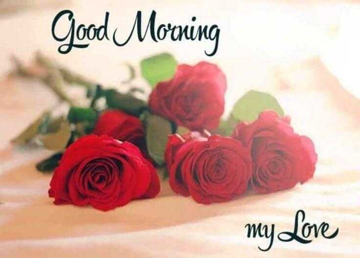 Good morning My Love Good Morning Quotes for Her With Beautiful Images Good Morning Love
